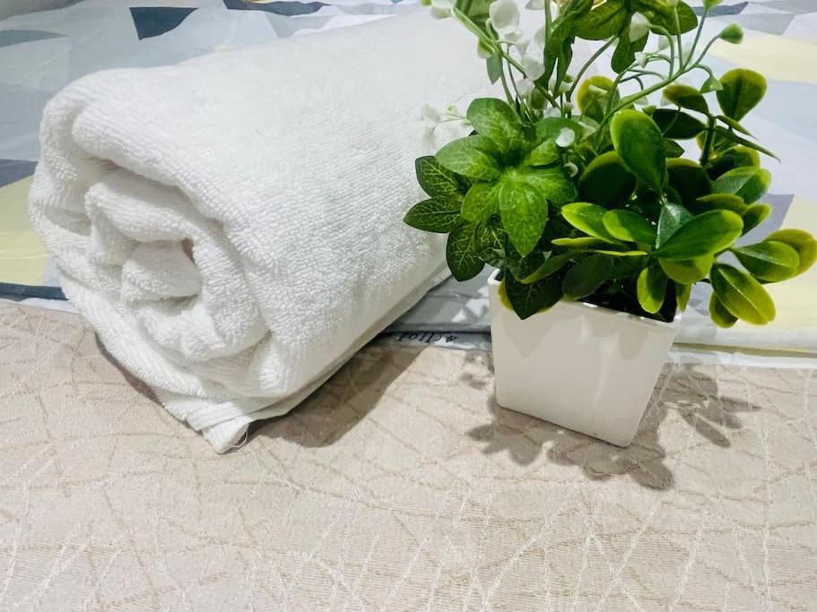 Fantastico Apartamento C Centro Apartment Madrid