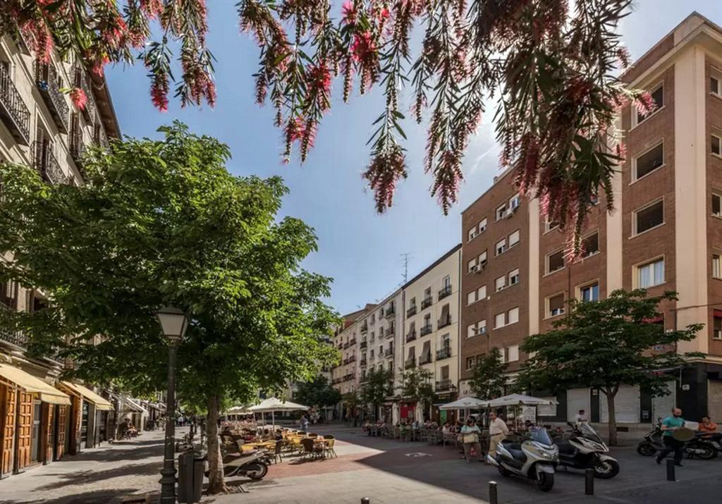 San Marcos Apartamento *