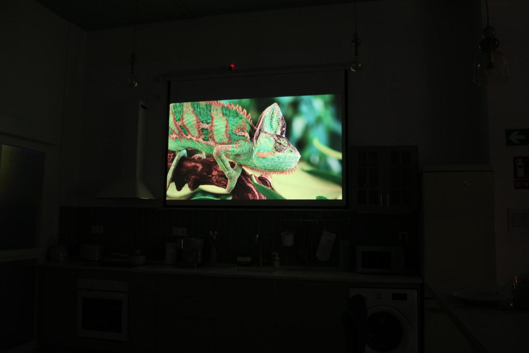 Apartamento The Greenhouse *