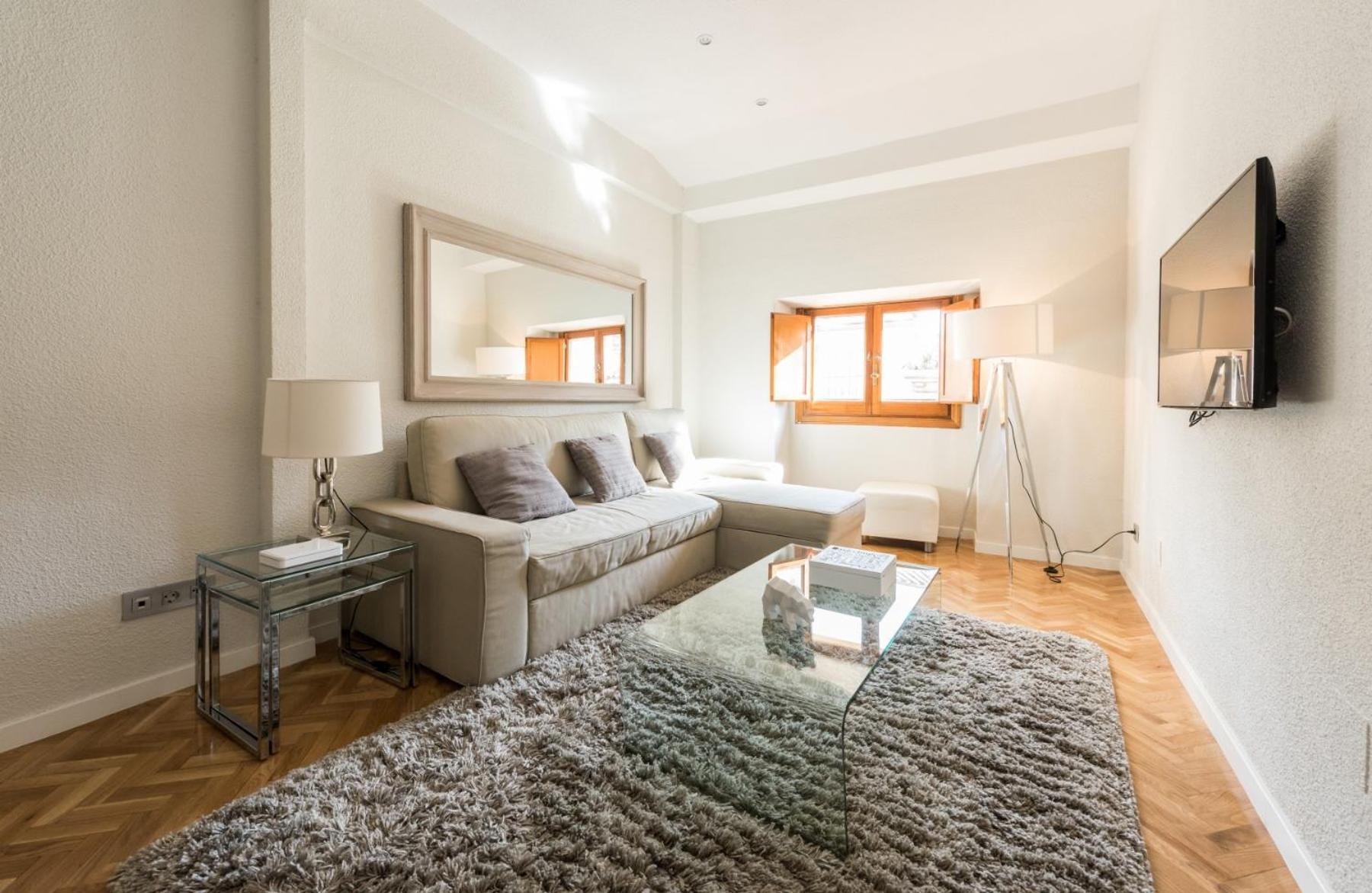 Apartment Chueca Penthouse
