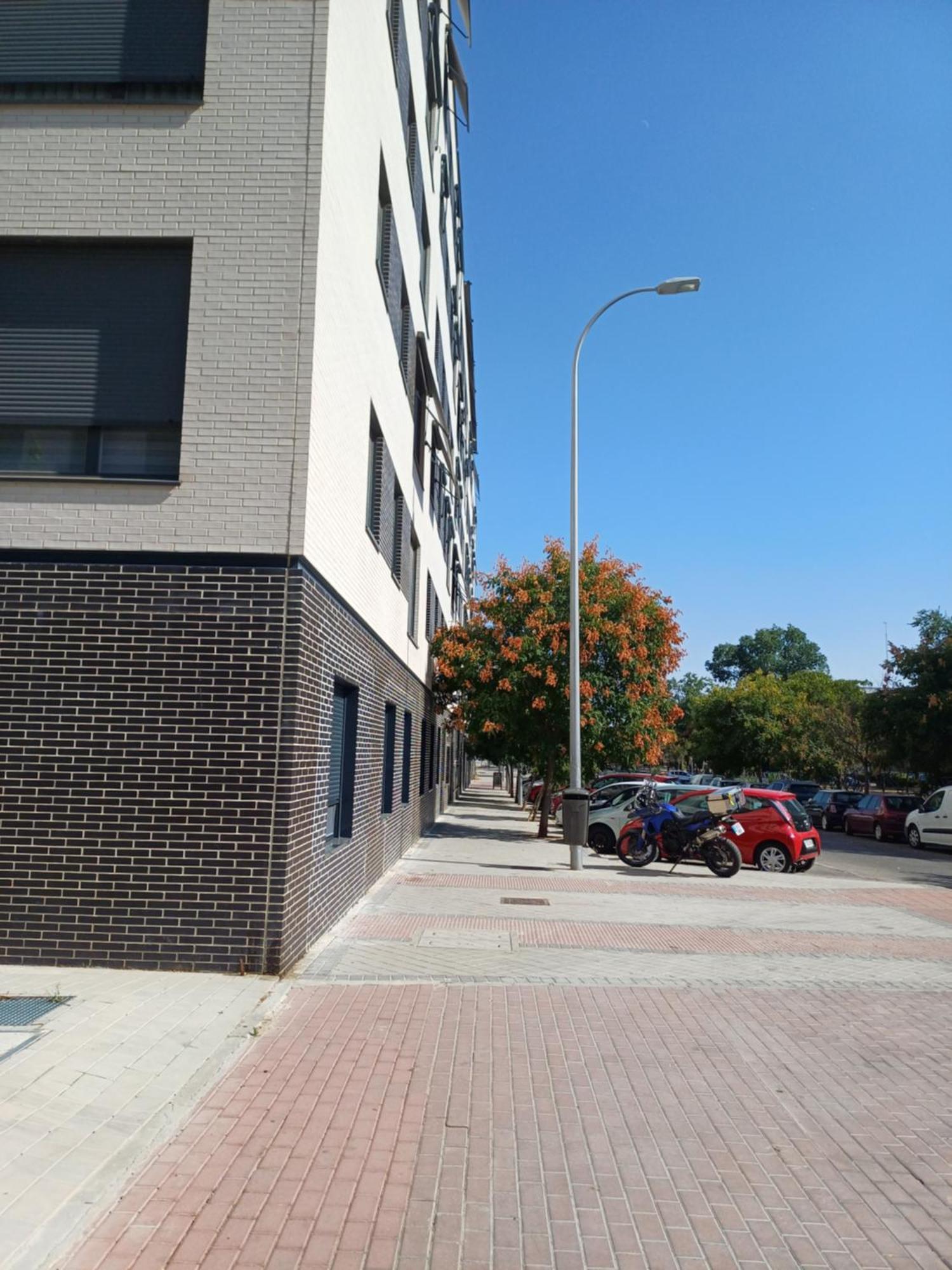 Estudios Nuevos Centro Affittacamere *