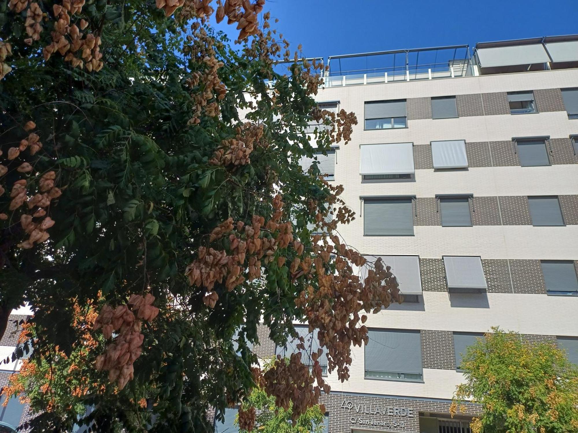 Affittacamere Estudios Nuevos Centro