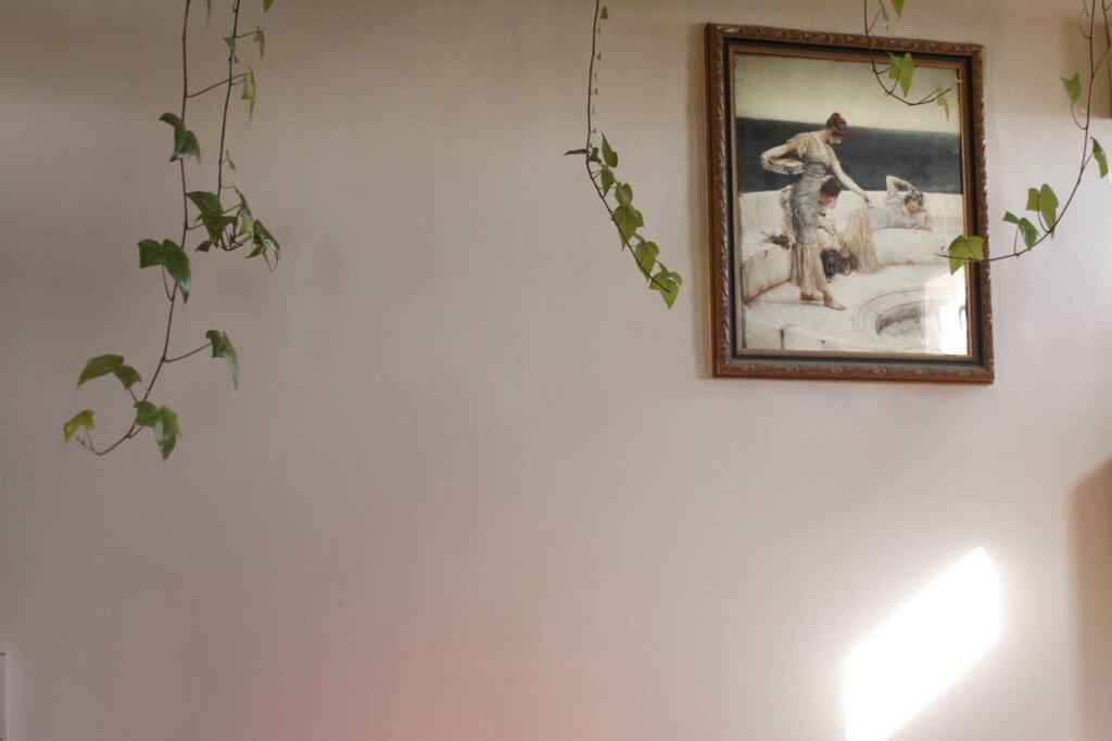 Apartamento A Garden In The Clouds In The Center Of Town *