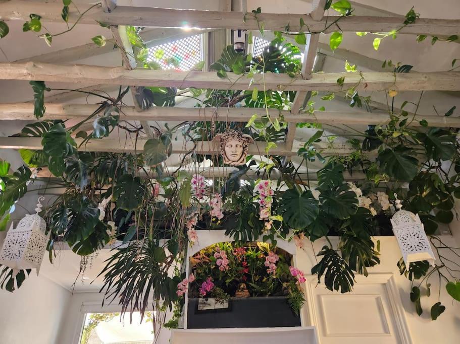 Apartamento A Garden In The Clouds In The Center Of Town *