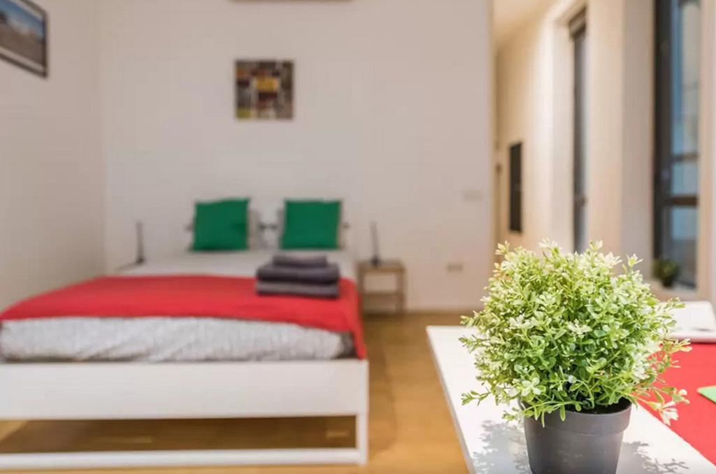San Marcos Apartamento