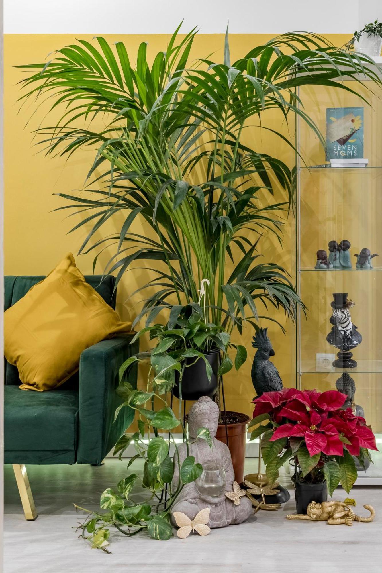 Casa Sana Corazon - Barrio Salamanca Appartamento