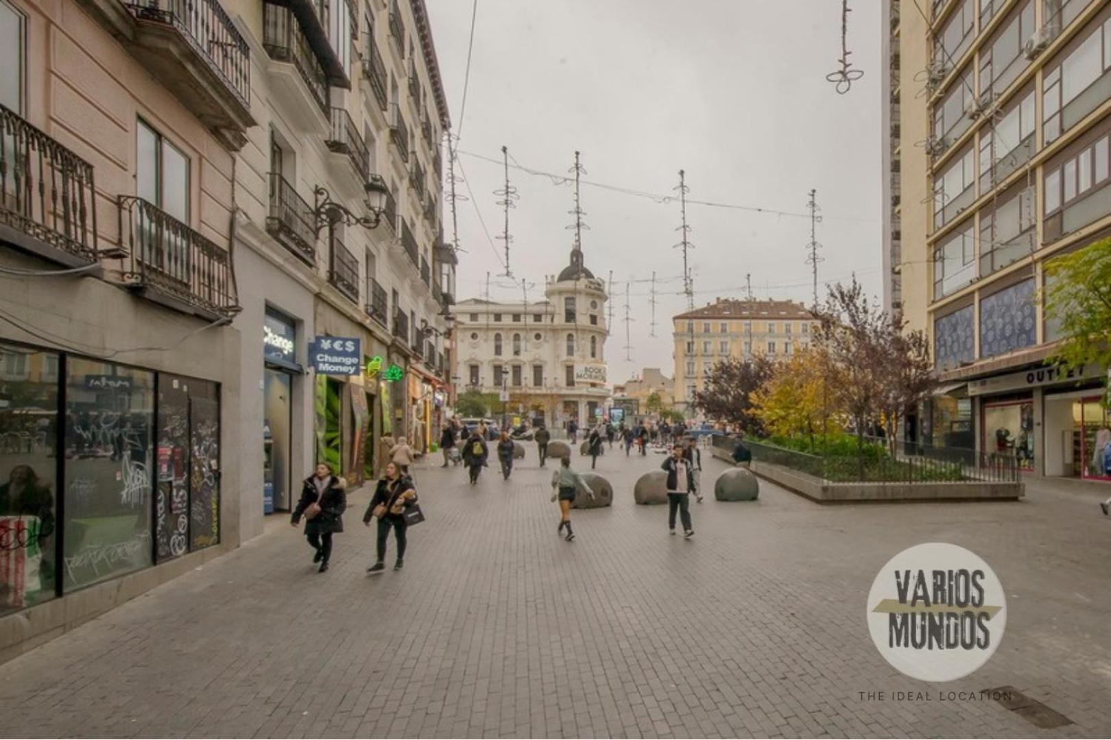 Apartamento Despertar En 2, Carretas 25 Madrid