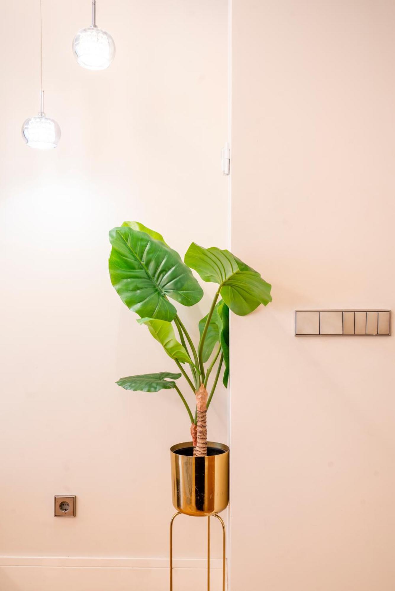 V73 Elegance & Comfort - Luxury In Barrio Salamanca Apartamento Madri