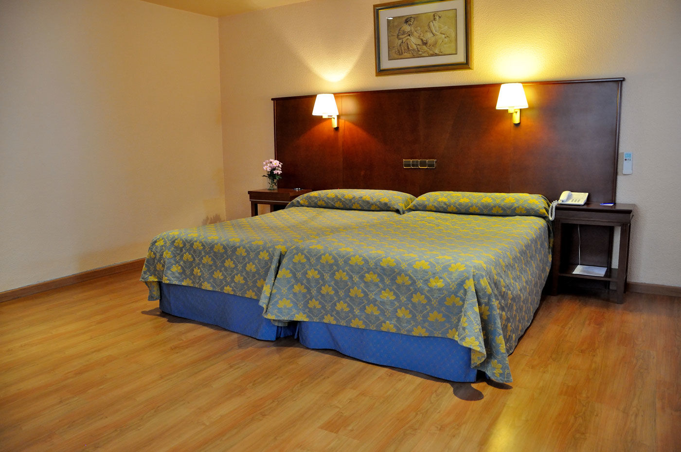 Hotel Casón Del Tormes 3*