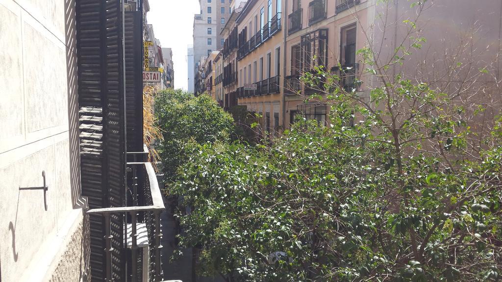 Rico * Madrid