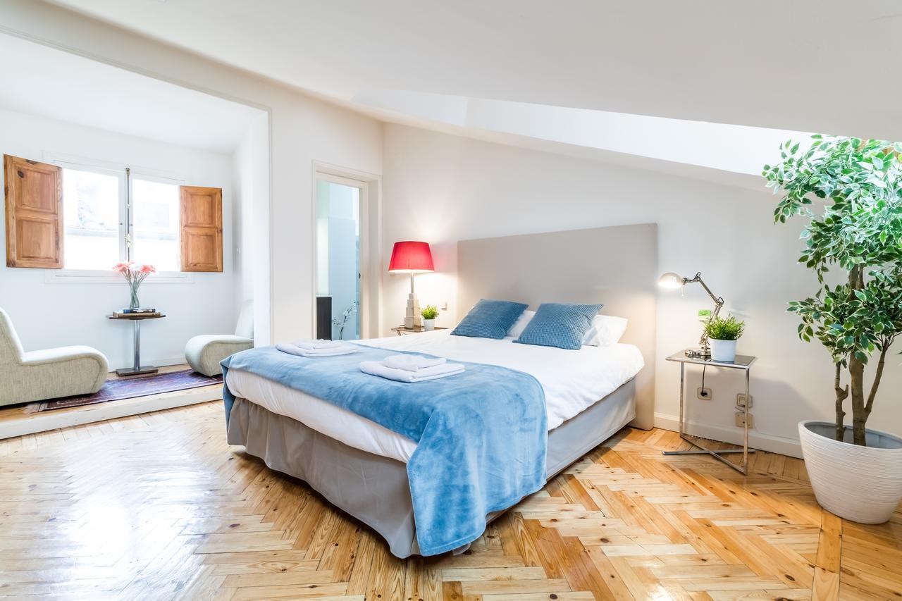 Duplex Plaza Mayor Center Madrid